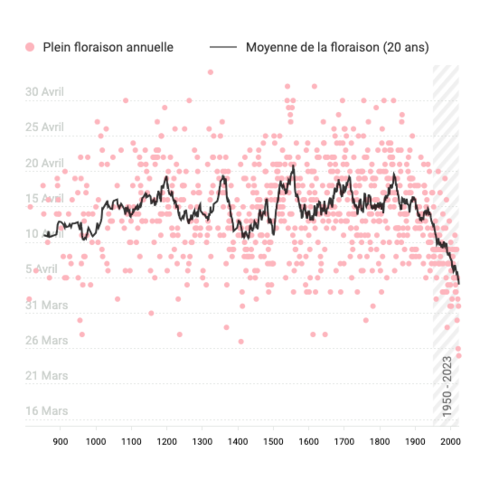 Picture of a timeseries chart made with React and D3.js: scatterplot and line chart in use.