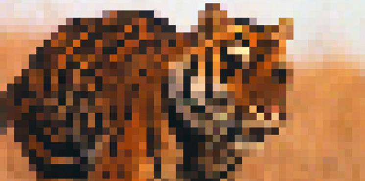 A pixelated output when an image is scaled up