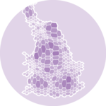 Dataviz logo representing a Cartogram chart.