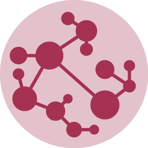 Dataviz logo representing a Network chart.