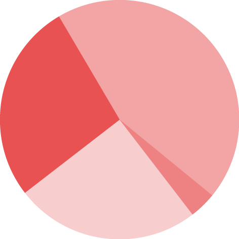 Dataviz logo representing a Pie chart.